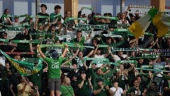 Die Lustenauer Fans werden am Samstag wieder für eine gewaltige Stimmung sorgen.