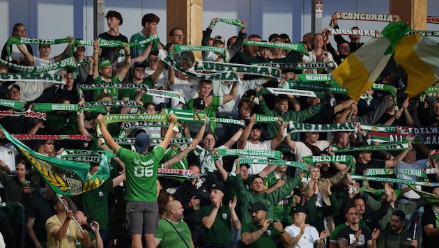 Die Lustenauer Fans werden am Samstag wieder für eine gewaltige Stimmung sorgen.