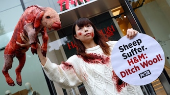 PETA demonstrierte gegen Schafswolle.