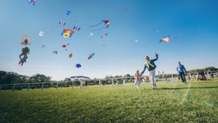 Drachensteigen – da werden Kindheitserinnerungen wach und machen das Drachsteigfest auf Schloss ...