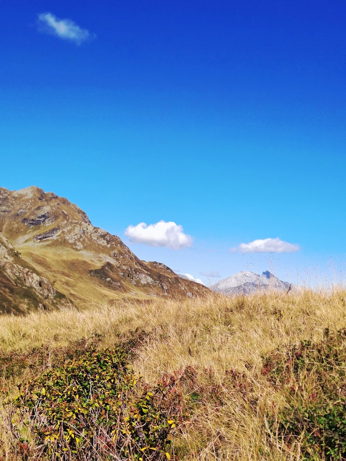 Rundum das Grasjoch trägt die Natur schon ihr herbstliches Kleid.
