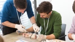 Die Ausbildung von Turnusärzten hat sich kontinuierlich verbessert. 