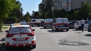 Der Angreifer wurde tödlich getroffen, die schwer verletzte Frau kam ins Krankenhaus.