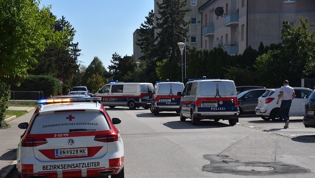 Der Angreifer wurde tödlich getroffen, die schwer verletzte Frau kam ins Krankenhaus.