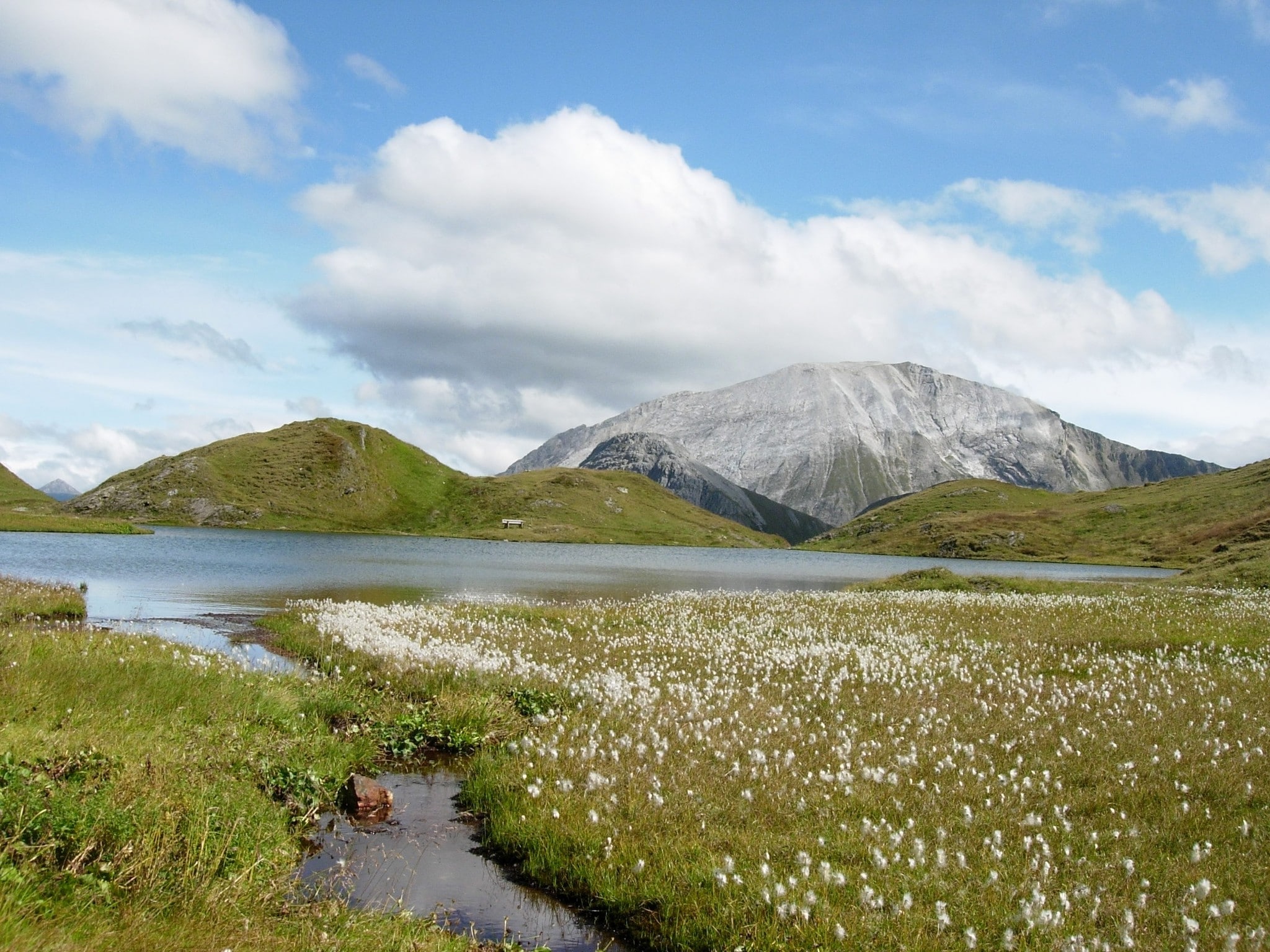 Am Ilgsee leuchtet Wollgras vor dem Panorama des 2680 Meter hohen Mosermandls.