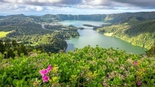 Im Naturschutzgebiet Bacia des Sete Cidades treffen grüner und blauer See aufeinander.