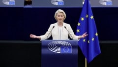 Macht von der Leyen unserer Regierung einen Strich durch die Rechnung? Das EU-Verbot könnte ...