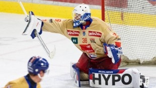 Der zweifache „ICE-Torhüter des Jahres“ soll der große Rückhalt im Haie-Team werden: Goalie Sam ...