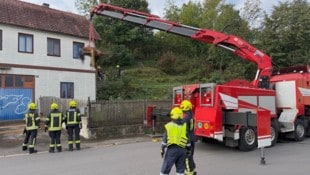 Mit einem Kran und speziellem Bergegeschirr wurde das tote Pferd von der Terrasse gehoben.