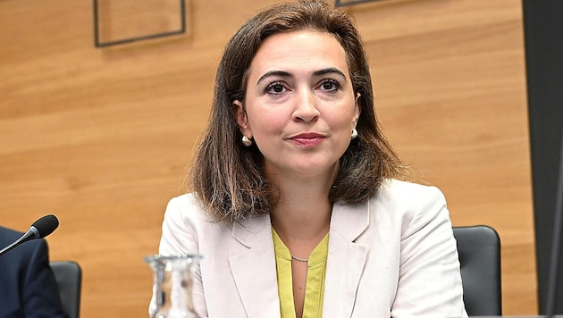Ex-Justizministerin Alma Zadić hatte keine „konkreten Wahrnehmungen“ zu politischer ...