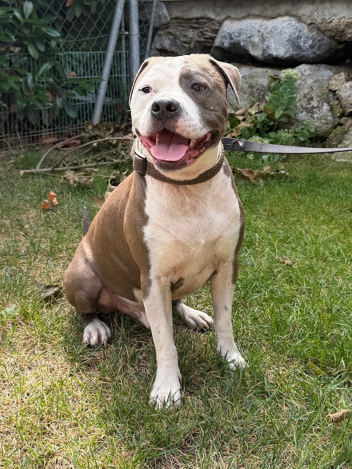 Warten auf einen schönen Einzelplatz: Otis
