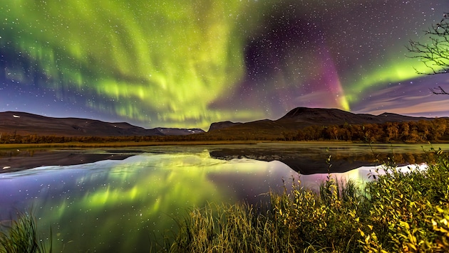 In einer kalten Septembernacht tanzen die Nordlichter über einem kleinen See nahe Nikkaluokta, ...