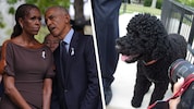 „Wir werden sie schrecklich vermissen“ – Barack und Michelle Obama trauern um ihre ...