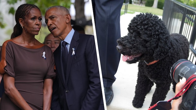 „Wir werden sie schrecklich vermissen“ – Barack und Michelle Obama trauern um ihre Hündin ...