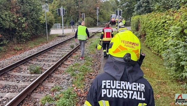 Die Feuerwehren rückten ebenfalls zum entgleisten Zug aus, konnten aber nach gut einer Stunde ...