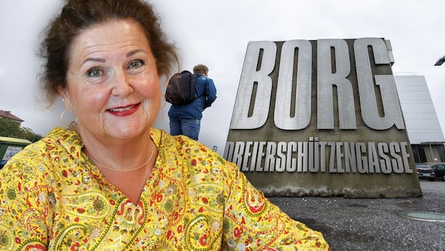 Liane Strohmaier leitet seit Jahren das BORG Dreierschützengasse in Graz.