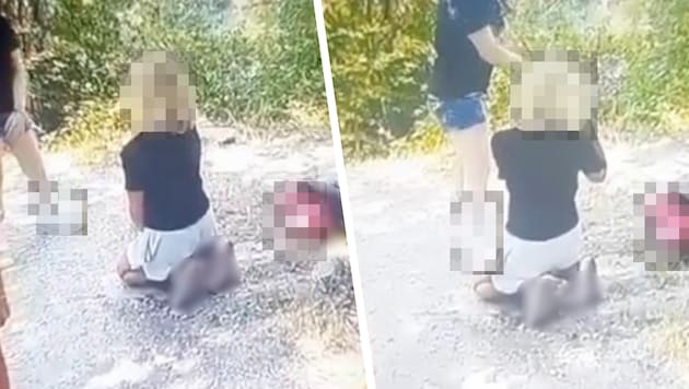 Der Fall einer 13-jährigen Schülerin aus Oberösterreich schockte: Sie wurde von Jugendlichen ...