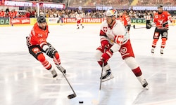 Thomas Raffl (weiß) und seine Eisbullen starten in neue Saison.