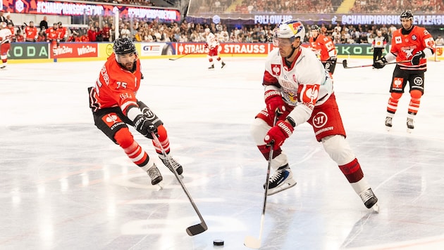 Thomas Raffl (weiß) und seine Eisbullen starten in neue Saison.