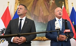 Das Zustandsbild der SPÖ ist 1:1 auf die ÖVP übertragbar.