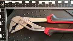 Mit dieser Rohrzange erschlug der Verdächtige das Tier.