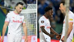 Haris Tabakovic glänzte erneut als Torschütze für die Salzburger. 