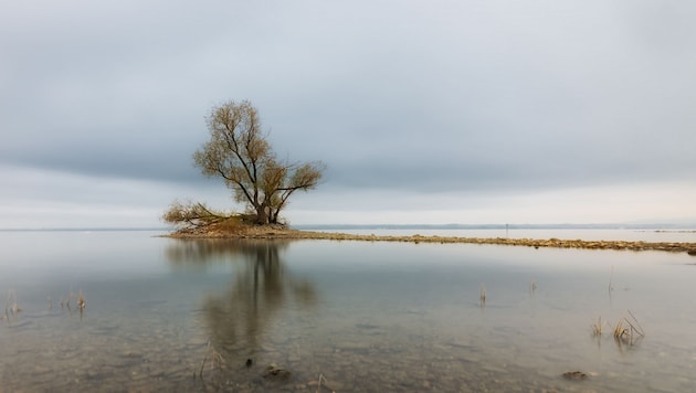 Die Schönheit der Melancholie: Herbstliche Stimmung am Rheinspitz in Gaißau.