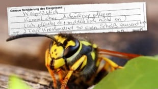 Frau W. ärgert sich über ausufernde Bürokratie nach einem einfachen Wespenstich.