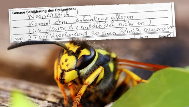 Frau W. ärgert sich über ausufernde Bürokratie nach einem einfachen Wespenstich.