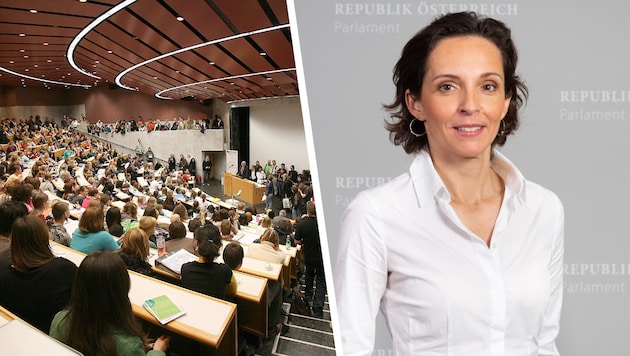In einem Positionspapier der Neos finden sich Ideen, was sich an Österreichs Hochschulen künftig ...
