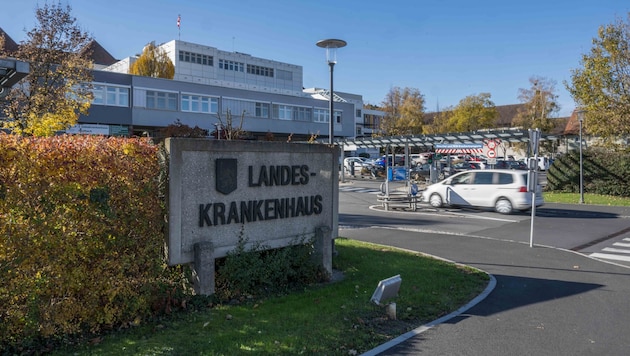 Der Pkw-Lenker (81) wurde zur Abklärung ins LKH Feldbach gebracht.