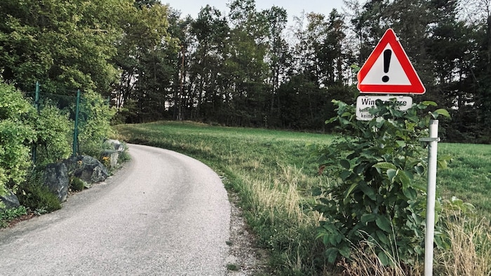 Über diese Asphaltstraße darf man noch fahren, 100 Meter weiter beginnt jedoch ein Forstweg, der ...