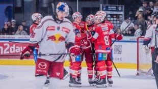 Hängende Köpfe bei den Eisbullen.