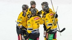 Erleben Sie die Eishockey-Cracks live.