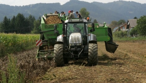 Die Rekorddürre lässt die erwartete Ernte bei vielen Feldfrüchten, etwa Kartoffeln, Körnermais, ...