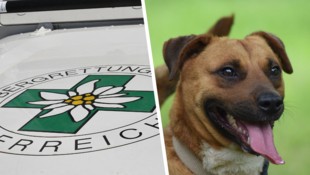 Bergretter mussten die Mädchen und die beiden Hunde aus ihrer misslichen Lage befreien. 