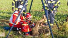 Das Reh wurde von den Einsatzkräften gerettet.