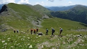 Besonders im Herbst ist Wandern ein beliebter Freizeitsport.