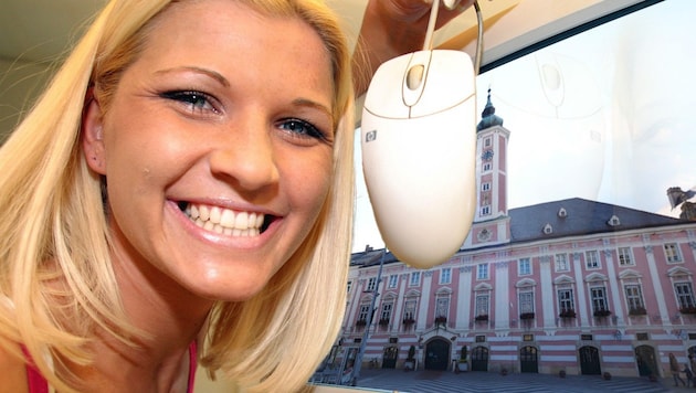 Mit ein paar Klicks kann man jetzt eruieren, wo die St. Pöltner Steuermillionen aus dem Rathaus ...