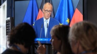 Ist Friedrich Merz jetzt Chef einer Kleinpartei?