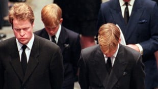 Charles Spencer, der Bruder von Prinzessin Diana, sieht deutliche Parallelen zwischen dem ...