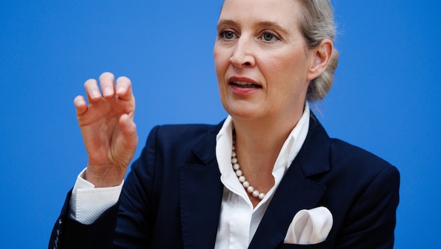 Alice Weidel wiederholte bei einer Pressekonferenz eine Aussage, mit der sie schon im ...