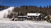 In Zukunft wird es am Unterberg in den Gutensteiner Alpen wirklich ganz natürlich sein: Der ...