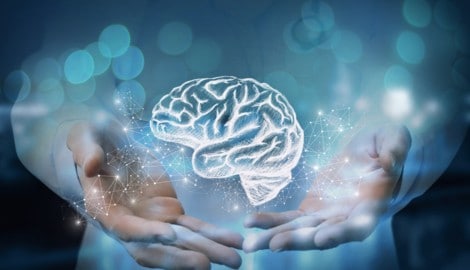 Intensives Gehirntraining für geistige Höchstleistungen.