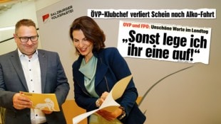 Mayer wird jetzt von Landeshauptfrau Edtstadler in die Landesregierung befördert.