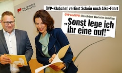 Mayer wird jetzt von Landeshauptfrau Edtstadler in die Landesregierung befördert.