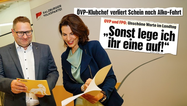 Mayer wird jetzt von Landeshauptfrau Edtstadler in die Landesregierung befördert.