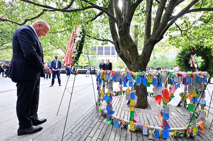 Stocker am „Survivor Tree“