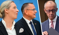 Himmelhoch jauchzend und zu Tode betrübt: Die AfD-Chefs Weidel und Chruppala (li.) schweben auf ...