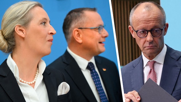 Himmelhoch jauchzend und zu Tode betrübt: Die AfD-Chefs Weidel und Chruppala (li.) schweben auf ...